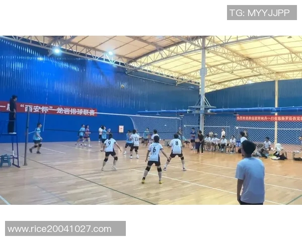 西安排球队逆袭之旅揭秘洲际杯背后的拼搏与荣耀