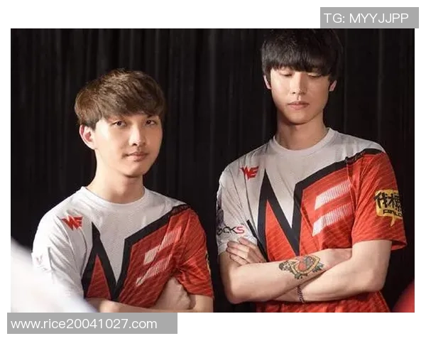 DOTA2战术解析：深入探讨JDG如何成功反击敌队策略