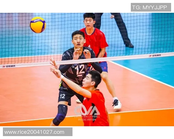 上海排球队的拼搏历程与荣耀瞬间全景纪实