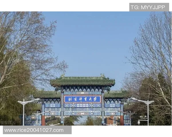 北京羽毛球队的实力分析与发展潜力研究探讨 北京羽毛球队的实力分析与发展潜力研究探讨