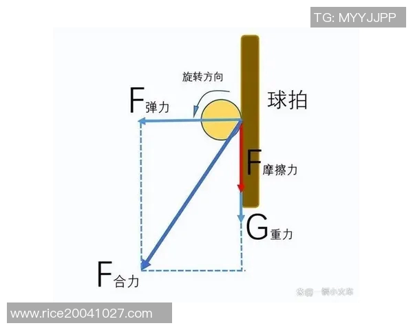 广州乒乓球队的节奏体系与战术解析:掌握乒乓球比赛的关键要素与技巧 广州乒乓球队的节奏体系与战术解析:掌握乒乓球比赛的关键要素与技巧