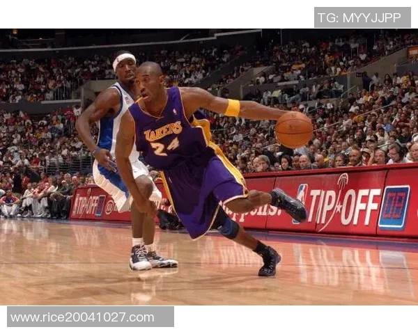 对话王强:回顾我的篮球生涯与成长历程分享 对话王强:回顾我的篮球生涯与成长历程分享