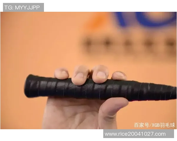 武汉羽毛球队整体压制打法深度分析与战术解读 武汉羽毛球队整体压制打法深度分析与战术解读