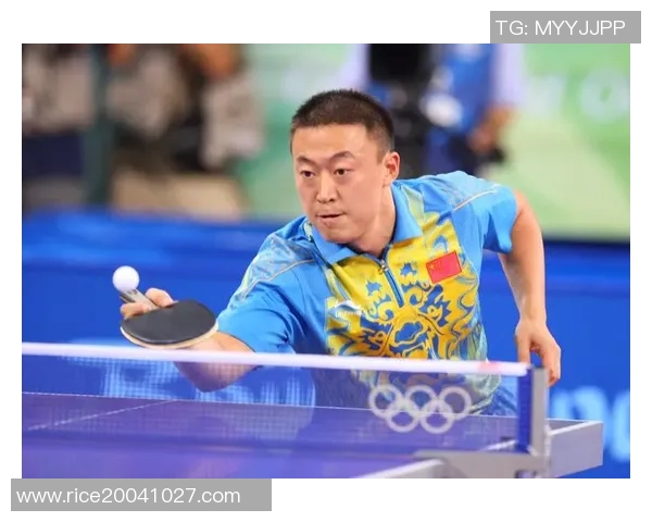 西安羽毛球队灵活性深度对比分析及其影响因素探讨