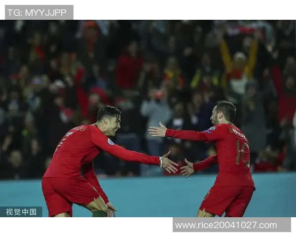 葡萄牙对立陶宛精彩直播全程回顾与赛后分析