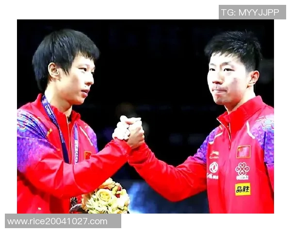 马龙与林高远对决历史记录分析及比赛精彩瞬间回顾