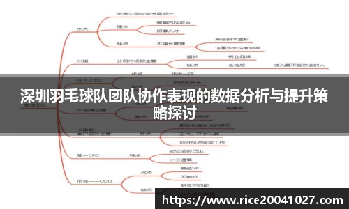 深圳羽毛球队团队协作表现的数据分析与提升策略探讨